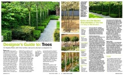 CHOOSING THE RIGHT TREE FOR YOUR GARDEN